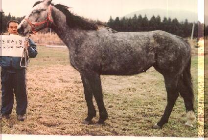 ����Ʈ����� ����