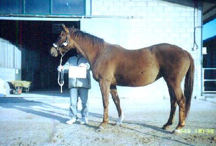 �׷���ٸ� ����