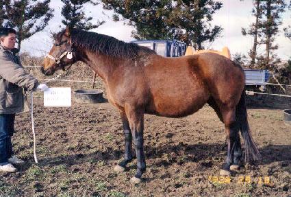 ���Ӵ�� ����