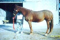 AHEADOFTHETIMES picture