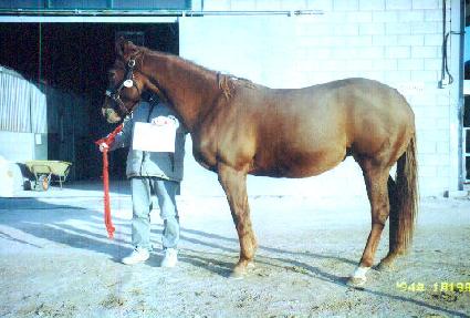 ��������Ÿ�� ����