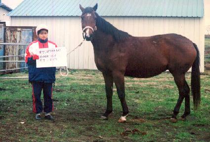 ��Ÿ��Ĺ ����