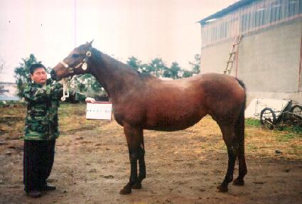 ���̵������ ����