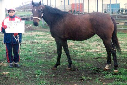 �ÿ���žܿ� ����