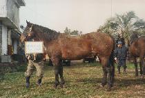 �������ι��� (BELIEVE IN ME TOO) ����