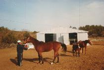 ȩ������ (HOPE��S LOVE) ����