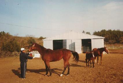 ȩ������ ����