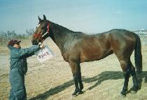 ���̸� (BAY MORN) ����