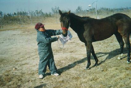 ���̸����θ��ƴ� ����