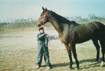 ���Ʈ (ASCENDANT) ����