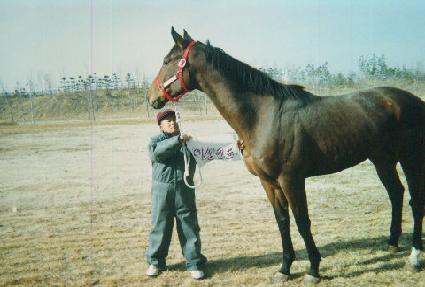 ���Ʈ ����