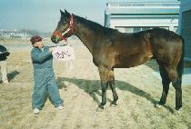 ������ (GOD��S GOLD) ����