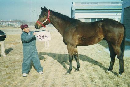 ������ ����