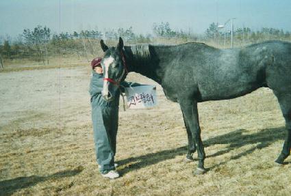 ���귲�� ����