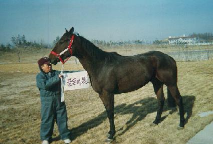 ������ ����