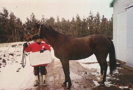 ��������� ����