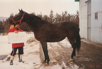 ��ŰŸ��� ����