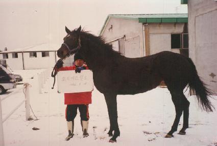 ���������Ϸ� ����