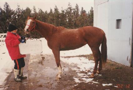 �ſͽ��÷��� ����