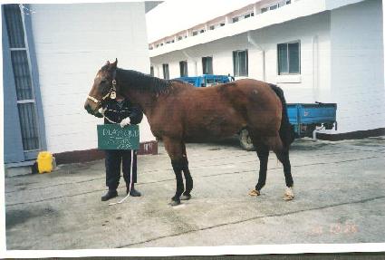 ���̾Ƹ�彺Ÿ ����