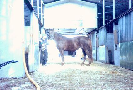 ����ƮŰ�� ����