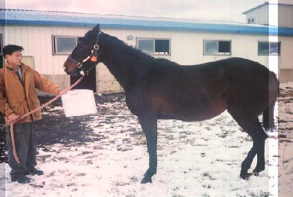 ���̽þطξ� ����