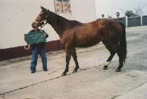 ��ó��Ʈ���� (FORTUNATE FOR YOU) ����