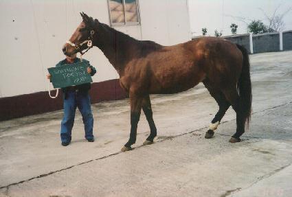 ��ó��Ʈ���� ����