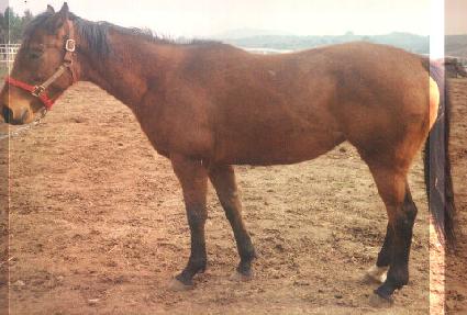 ������� ����