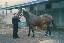 ��丮���� (A STORY FOR YOU) ����