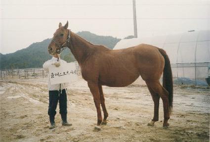 Ŭ���������� ����