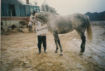 �׽��������� ����