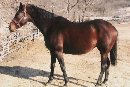 �����鸮���̸��� ����