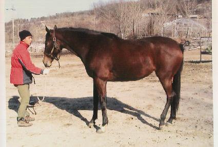 �纸�̾��н� ����