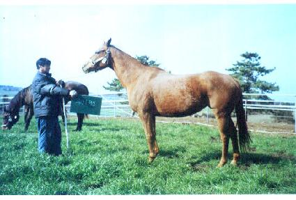 ���̵���� ����