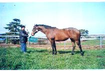 ��ƺ� (C��EST AVIE) ����