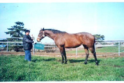 ��ƺ� ����