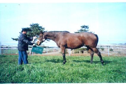 ����Ʈ����� ����