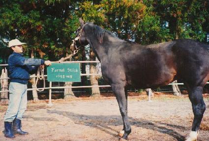 ���ֽ�ƽ ����