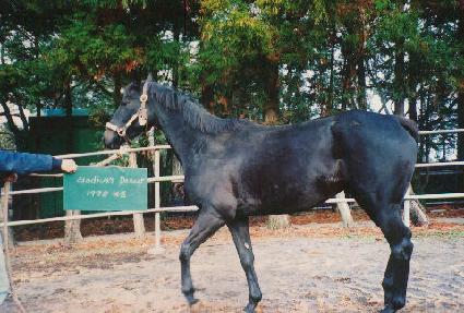 �����̹������ ����