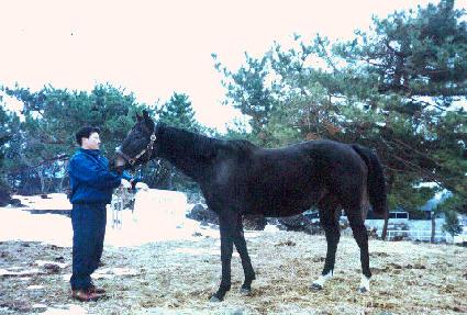 ��޸����ξ�Ƽ ����