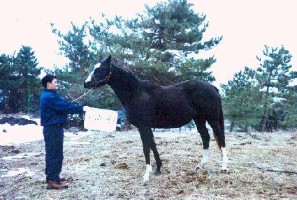 ���̽����� ����