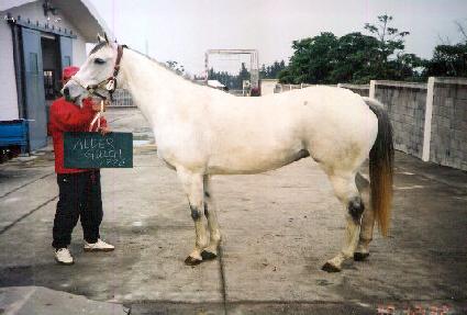 �ô��ɽ� ����