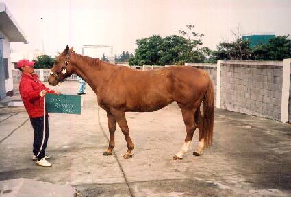 ���巯�� ����