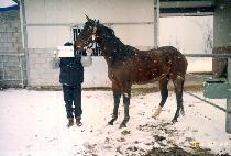 ���̽���ġ (ICY PUNCH) ����