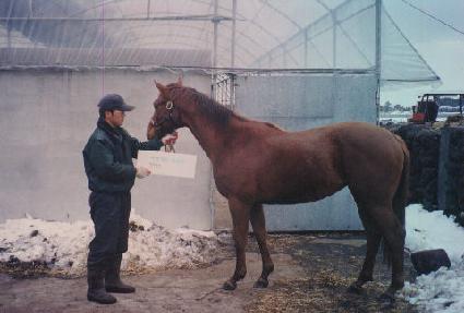 ������ ����