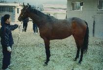 �۷��� (GLENVILLE) ����