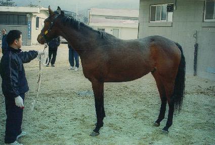 �۷��� ����