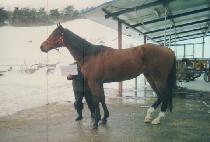 ��������ũ (GATHERING DARK) ����