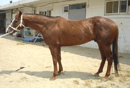 ���̿;ƶ��� ����